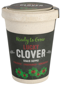 Siemenet ruukussa Neliapila