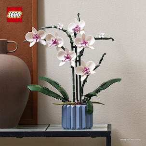 LEGO Orkidé blommor 10311, från 18 år