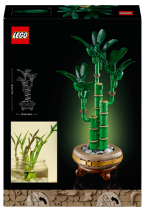 LEGO Icons Botanicals Dracaena lykkebambus 10344, fra 18 år