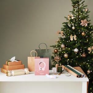 Presentpåse med handtag, 6-pack