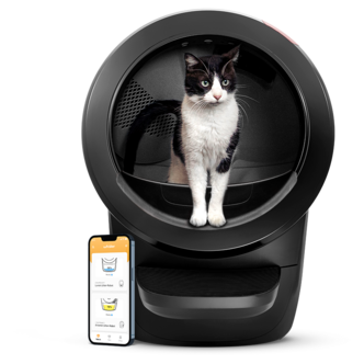 Whisker Litter-Robot 4 självrengörande kattlåda