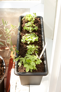 Hammarplast Botanica blomsterkasse, 80 cm