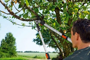 Gardena Comfort 650BT teleskopisk grensaks med sideskjær 