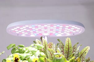 Hydroponisk odling kit 12 odlingspluggar och växtlampa LED