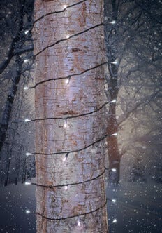 Northlight lysslynge med hvite LED-pærer