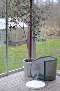 Nelson Garden vinterbeskyttelse til potte, 45 x 50 cm