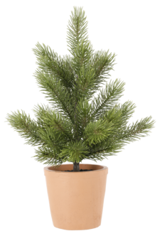 Pöytäkuusi saviruukussa