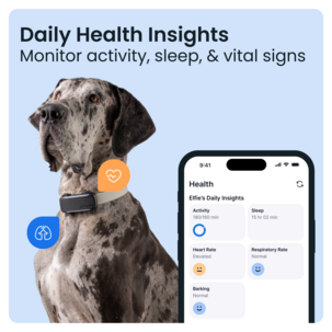 Tractive Dog 6XL GPS-tracker for stor hund