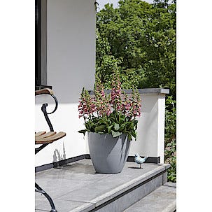 Blomkruka ljusgrå 40 cm