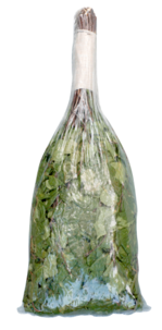 Basturuska av björk