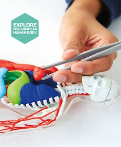 Discovery Mindblown 3D byggesett, menneskekroppen, fra 8 år.