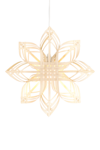 Rottinkitähti nature

