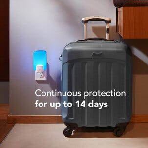 Raid Essentials elektrisk flugfångare med UV och klister