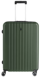 Koffert og kabinkoffert med hjul, grønn, 2-pakning