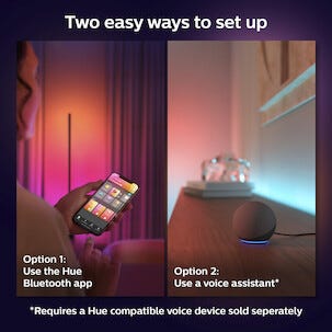 Philips Hue WCA Gradient Lightstrip til forlenging, 1 m