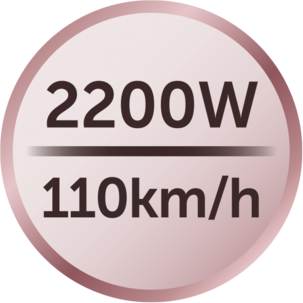 Remington Hiustenkuivaaja Coconut Smooth D5901