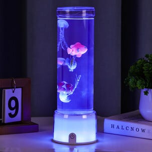 Northlight fisklampa med touch, 27,7 cm