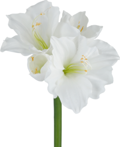 Konstgjord amaryllis, 61 cm