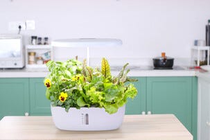 Hydroponisk odling kit 12 odlingspluggar och växtlampa LED