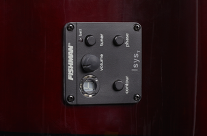 Stålsträngad akustisk gitarr med pickup Joy