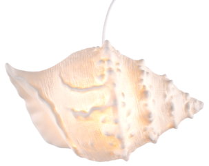 Pöytävalaisin Snäcka posliinia, Northlight