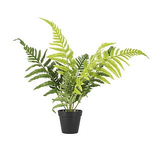 Ormbunke konstväxt, 62 cm