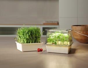 Kasvatusalusta microgreens, pieni kasvihuone LED, 8 W
