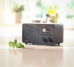 Pinell Supersound 301, DAB-radio med DAB, DAB+, FM-radio, Podcaster, Spotify