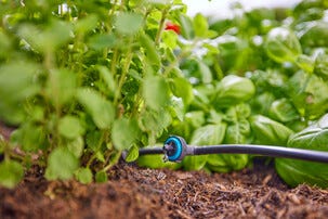 Gardena Aquabloom set L droppbevattning solcell, 30 plantor
