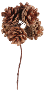 Kävyt koristeeksi ja askarteluun, 6 kpl