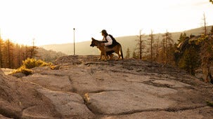 GoPro Tripod Ball Head stativ med kulled