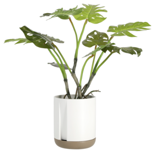 Kruka självvattnande 20 cm