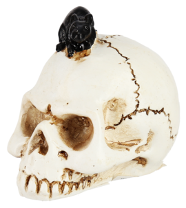 Dekoration till halloween