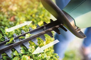 Häcksax Bosch Easy Hedgecut 18-45