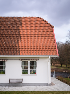 Jape Grön Fri takrengöring