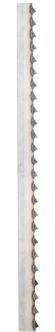 Bandsågblad