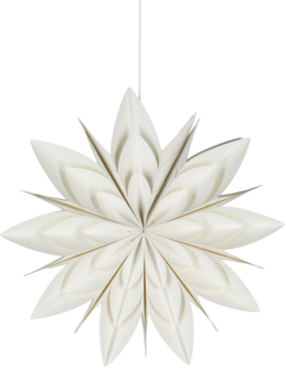 Northlight adventsstjärna blomma, vit, 50 cm