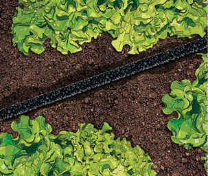 Dråpevanning 15 meter dryppslange, 0,5 tommer