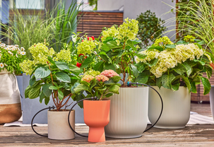 Gardena bevattning startset för balkong