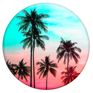 Mobilgrepp, PopSockets Grip