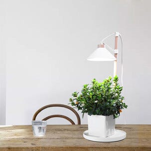 Växtlampa med lampskärm för kruka, justerbar, trä