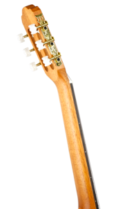 Nylonsträngad akustisk gitarr Gecko