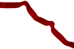 Presentband sammet, 5 m