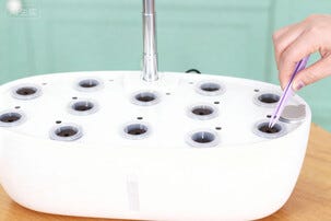 Vesiviljely viljelylaatikko 12 kylvökapselia ja LED-kasvivalaisin