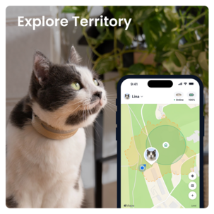 Tractive Cat 6 Mini GPS tracker för katt