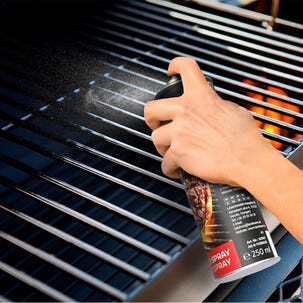 Landmann non stick-spray för grillgaller, 250 ml