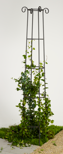 Växtstöd obelisk