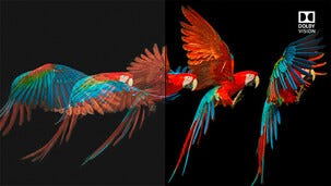 HDMI-kaapeli Belkin Ultra High Speed