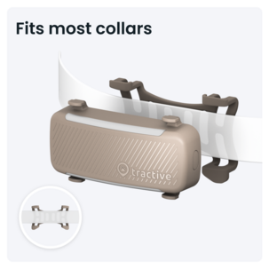 Tractive Dog 6 GPS-tracker for hund