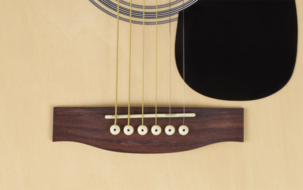 Stålsträngad akustisk gitarr Joy